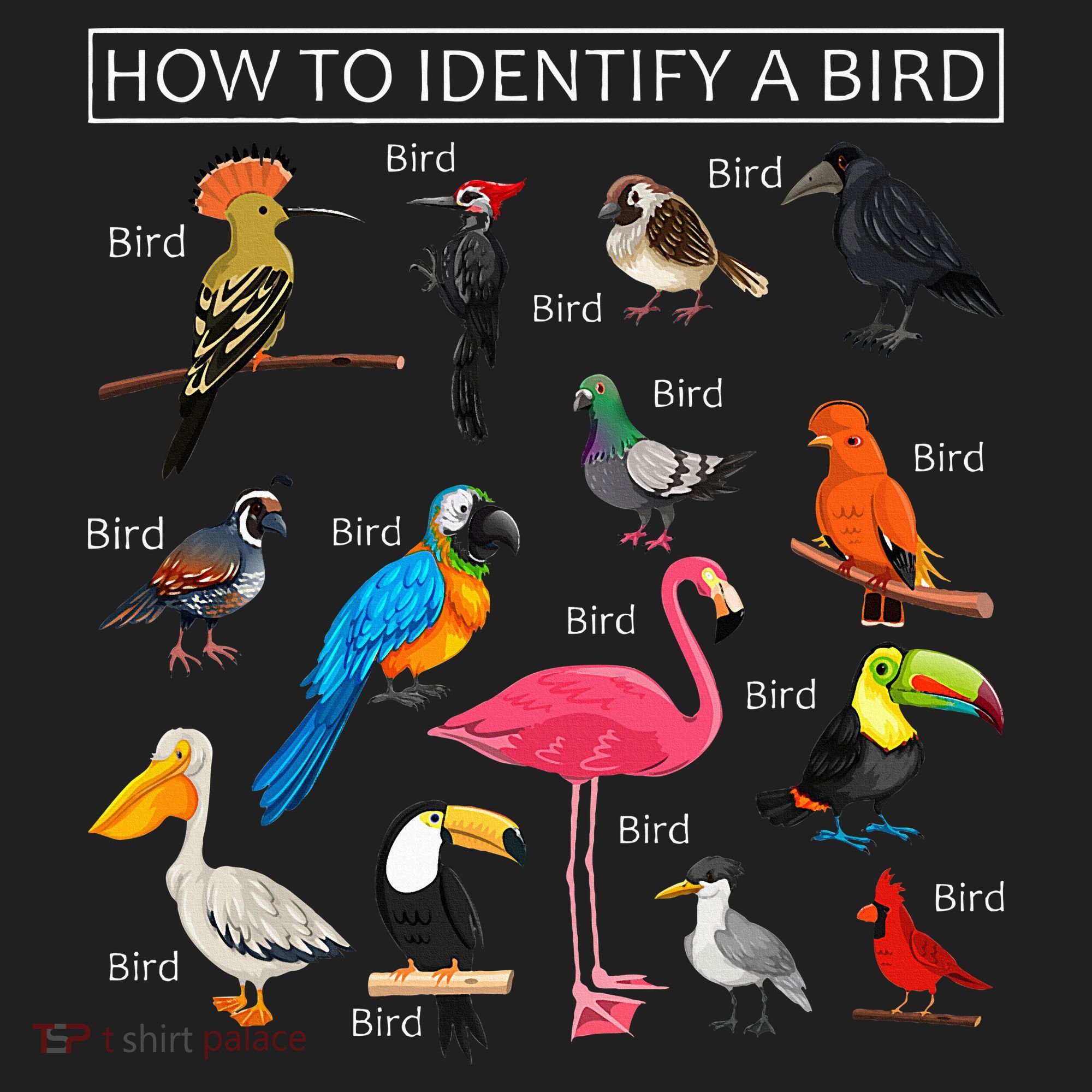 How To Identify A Bird Funny Birds Lover Nature Birdwatcher Hat