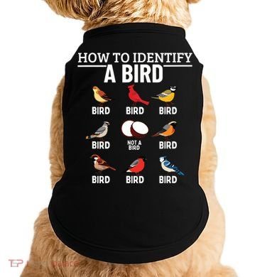 How To Identify A Bird Funny Bird Watching Doggie Tank