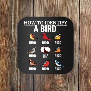 How To Identify A Bird Funny Bird Watching Coaster
