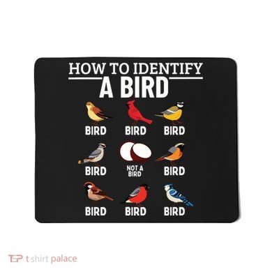 How To Identify A Bird Funny Bird Watching Mousepad