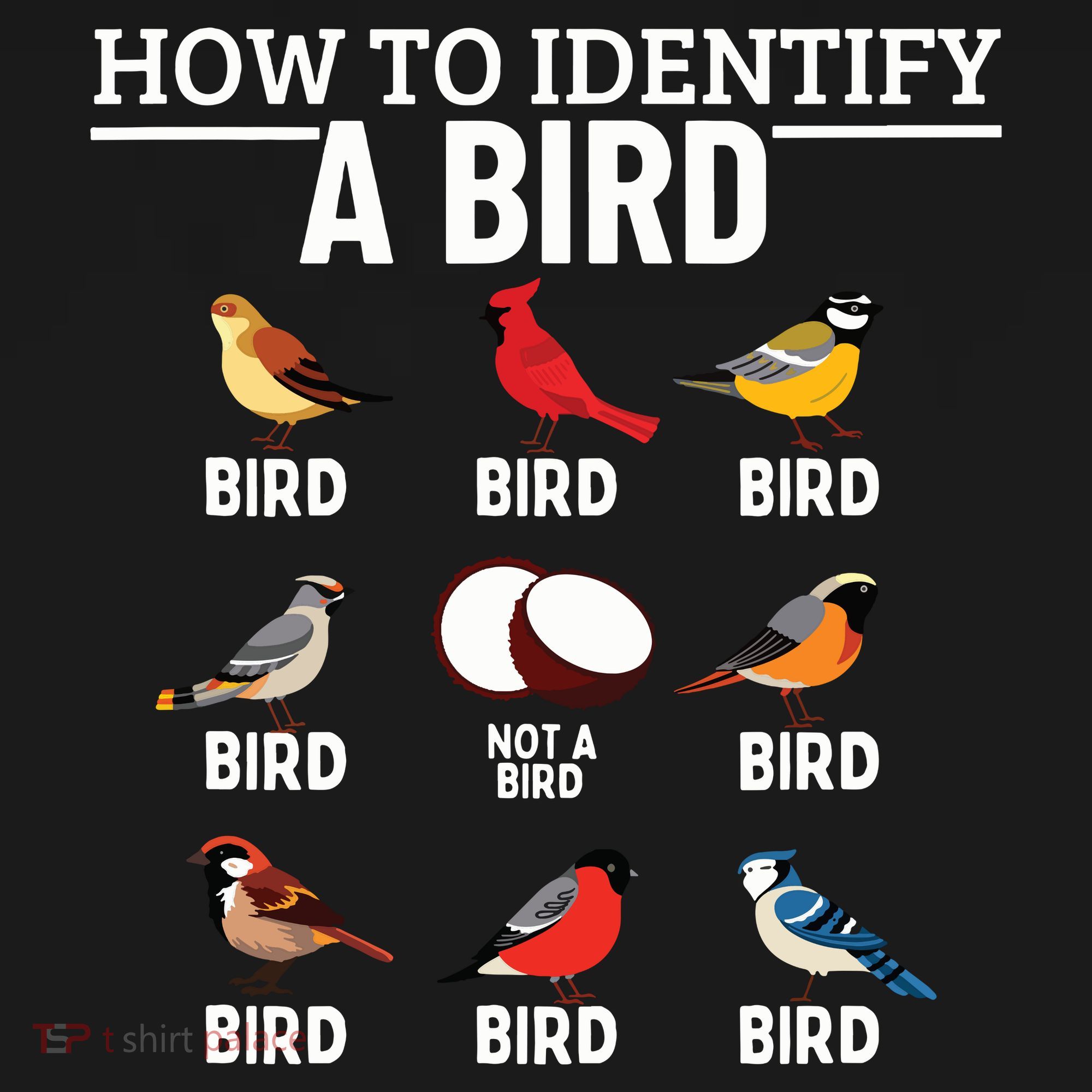How To Identify A Bird Funny Bird Watching Visor