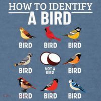 How To Identify A Bird Funny Bird Watching Garment-Dyed Sweatshirt thumb 2
