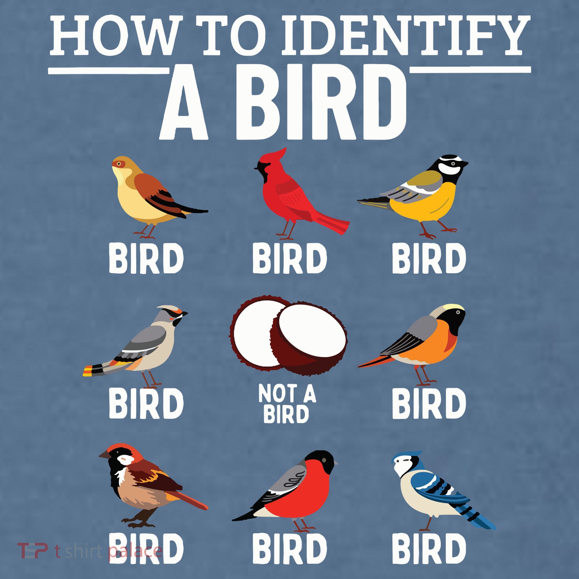 How To Identify A Bird Funny Bird Watching Garment-Dyed Sweatshirt