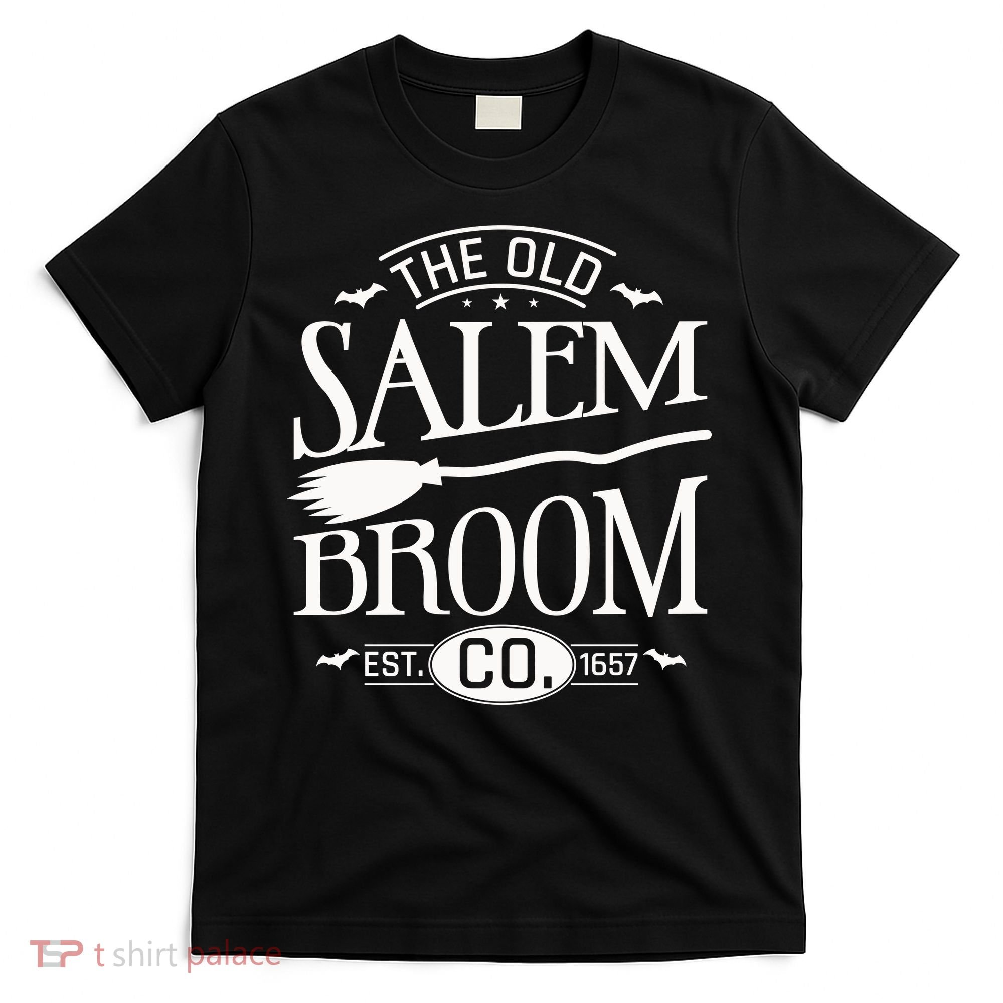 Halloween The Old Salem Broom Halloween Day T-Shirt