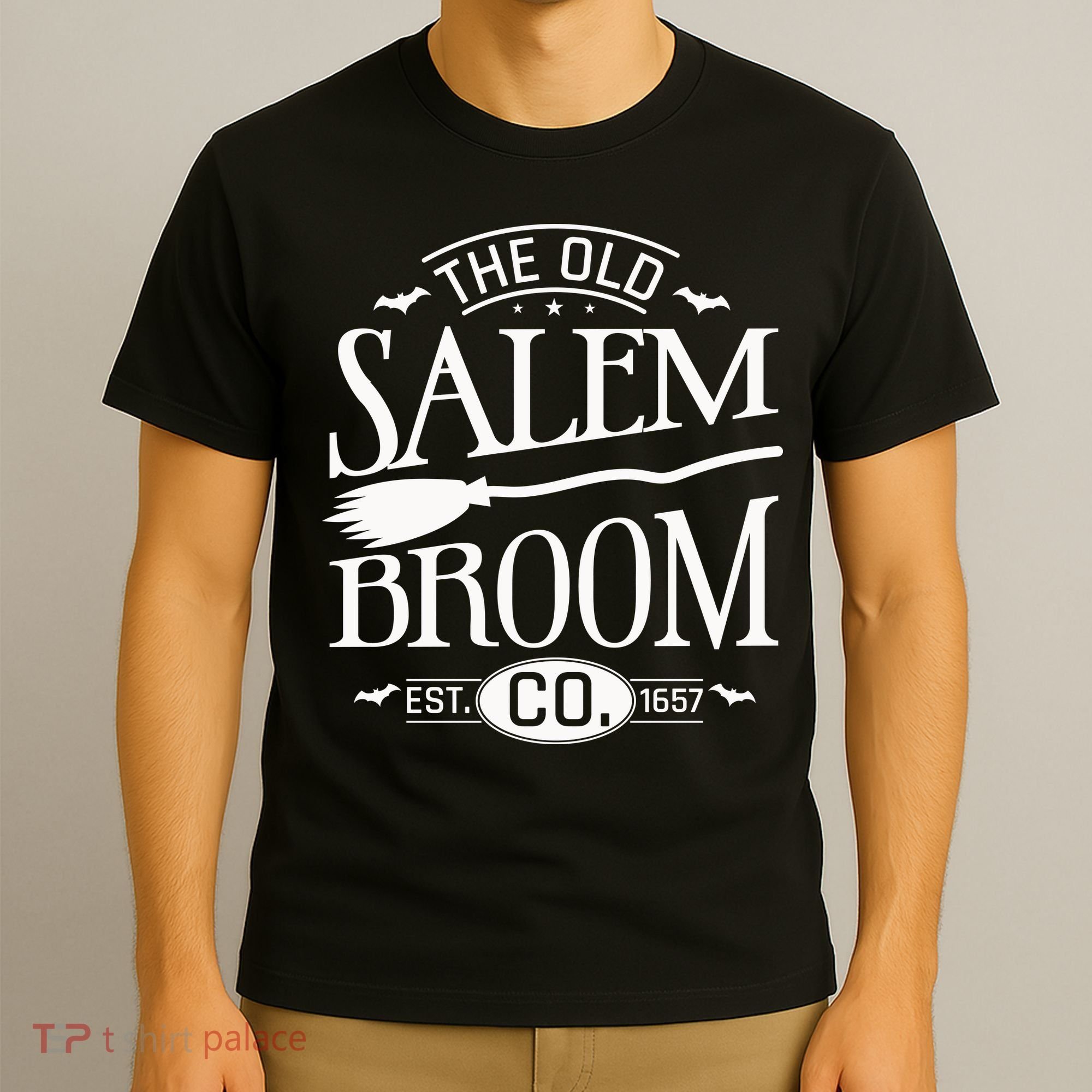 Halloween The Old Salem Broom Halloween Day T-Shirt