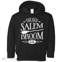 Halloween The Old Salem Broom Halloween Day Toddler Hoodie thumb 0