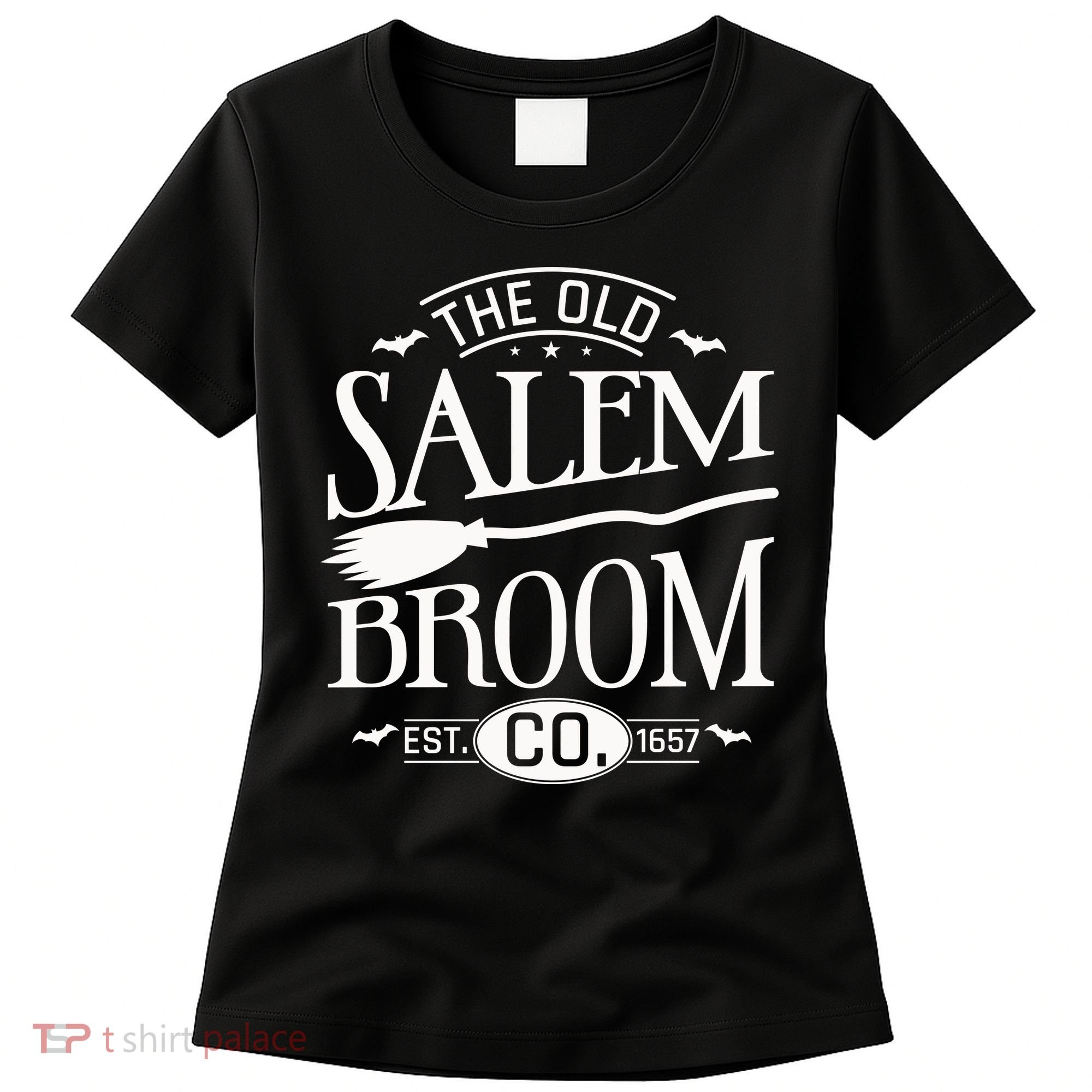 Halloween The Old Salem Broom Halloween Day Women's T-Shirt