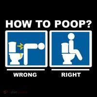 How To Poop Wrong Right Funny Meme Ornament thumb 1
