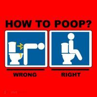 How To Poop Wrong Right Funny Meme Santa Hat thumb 1