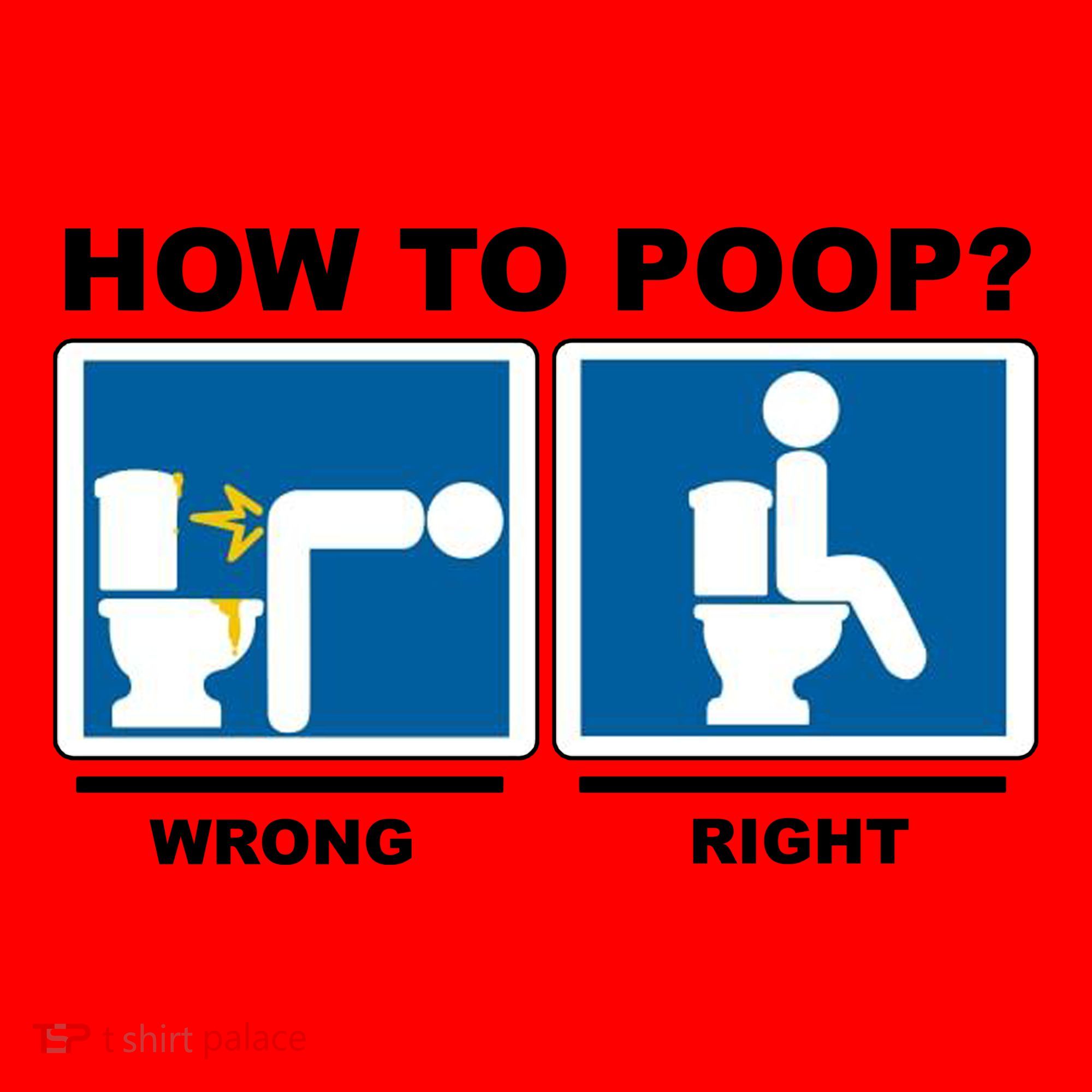 How To Poop Wrong Right Funny Meme Santa Hat