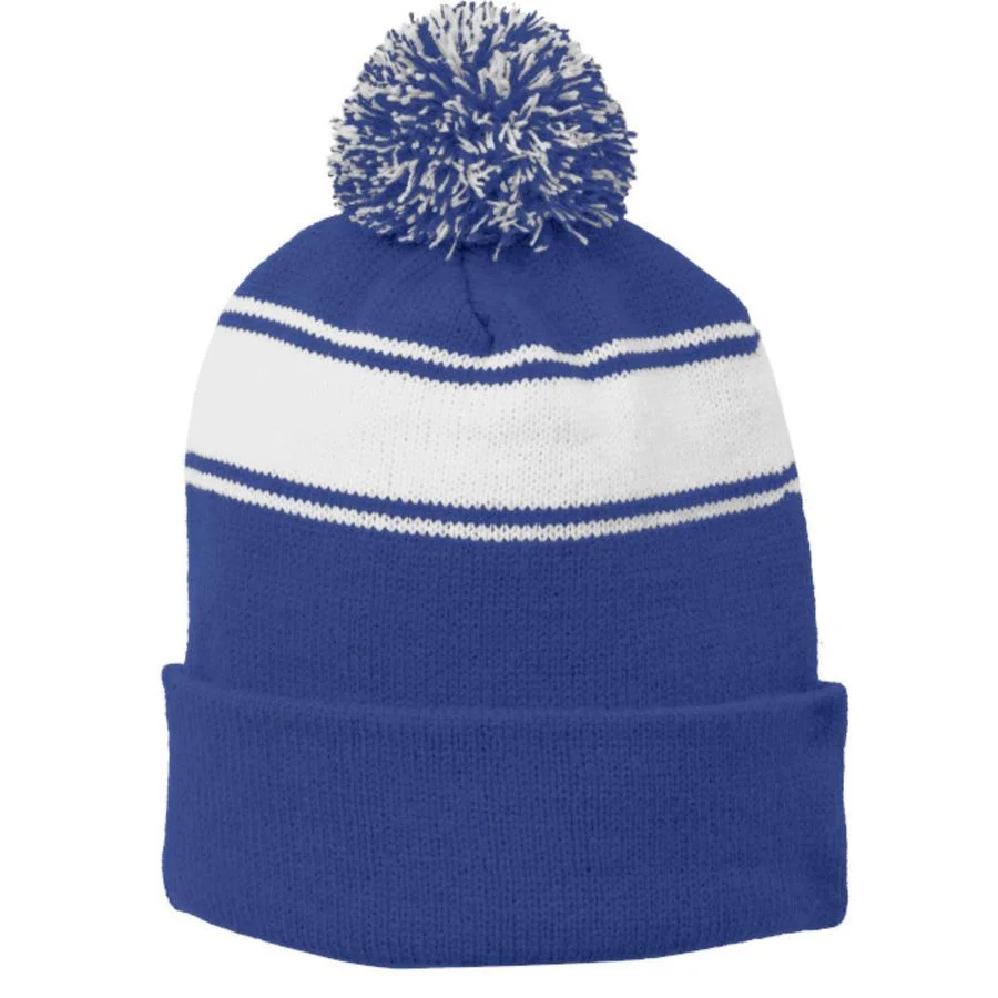 Hack The Planet Coder Gift Stripe Pom Pom Beanie