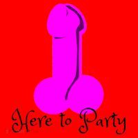 Here To Party Dick Dirty Funny Adult Sex Joke Gift Idea Santa Hat thumb 1