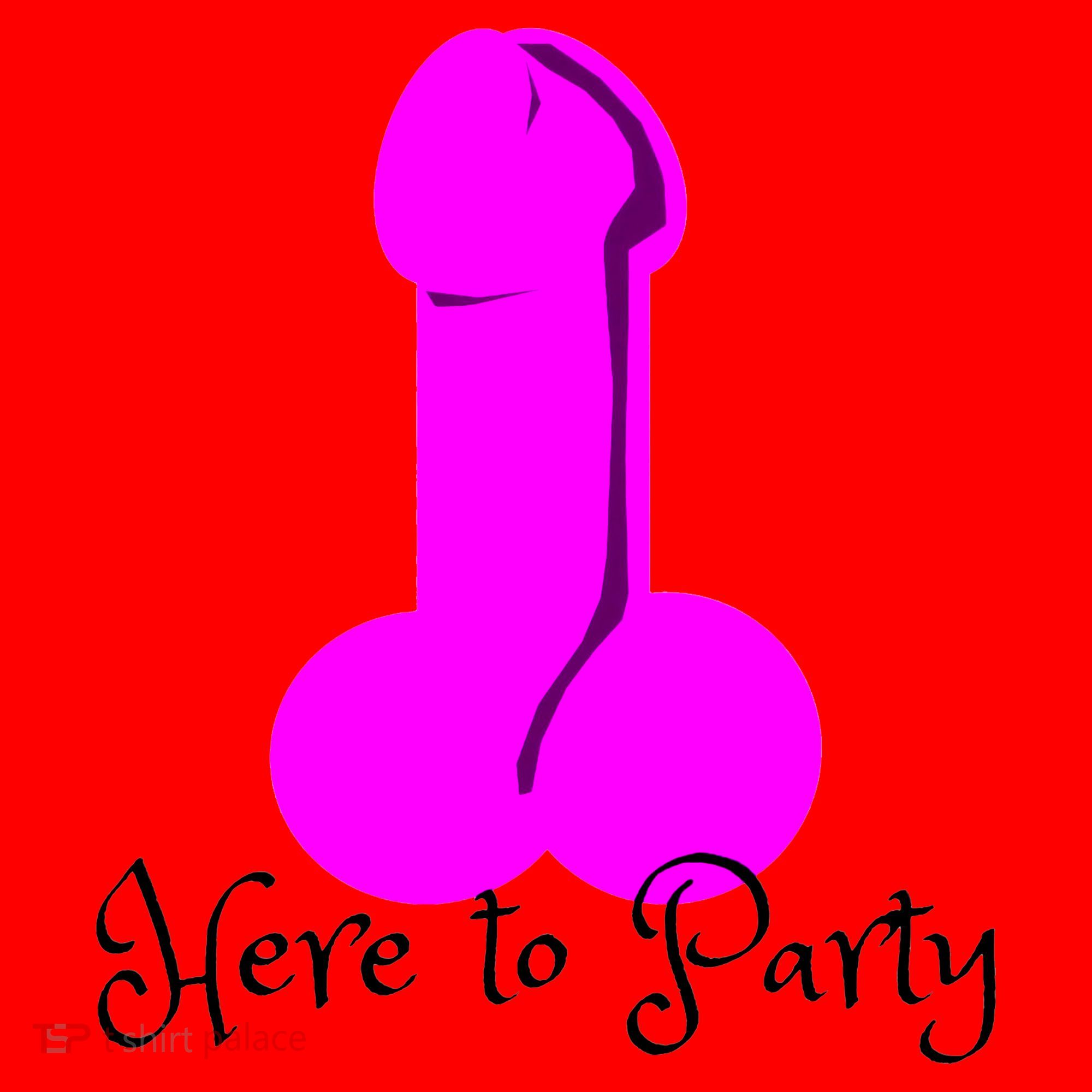 Here To Party Dick Dirty Funny Adult Sex Joke Gift Idea Santa Hat