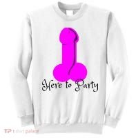 Here To Party Dick Dirty Funny Adult Sex Joke Gift Idea Sweatshirt thumb 0