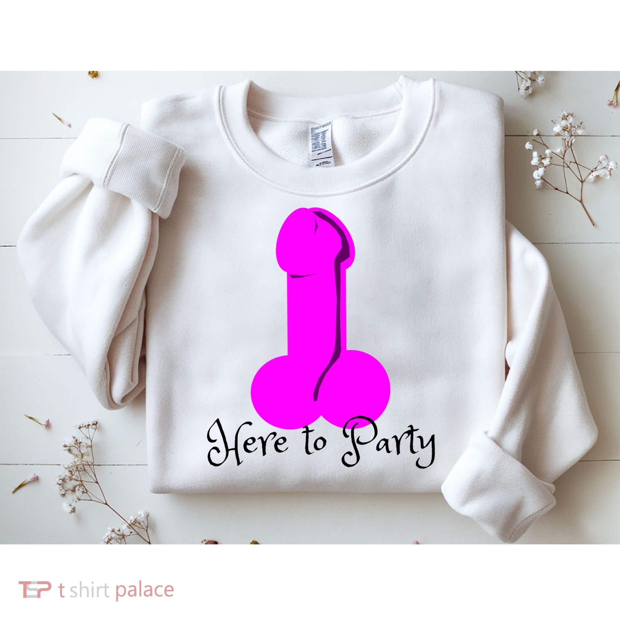 Here To Party Dick Dirty Funny Adult Sex Joke Gift Idea Sweatshirt