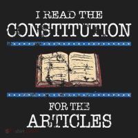 History Teachers Read The Constitution Distressed Beanie thumb 2