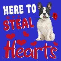 Here To Steal Hearts Funny French Bulldog Dog Valentines Day Funny Gift T-Shirt thumb 7