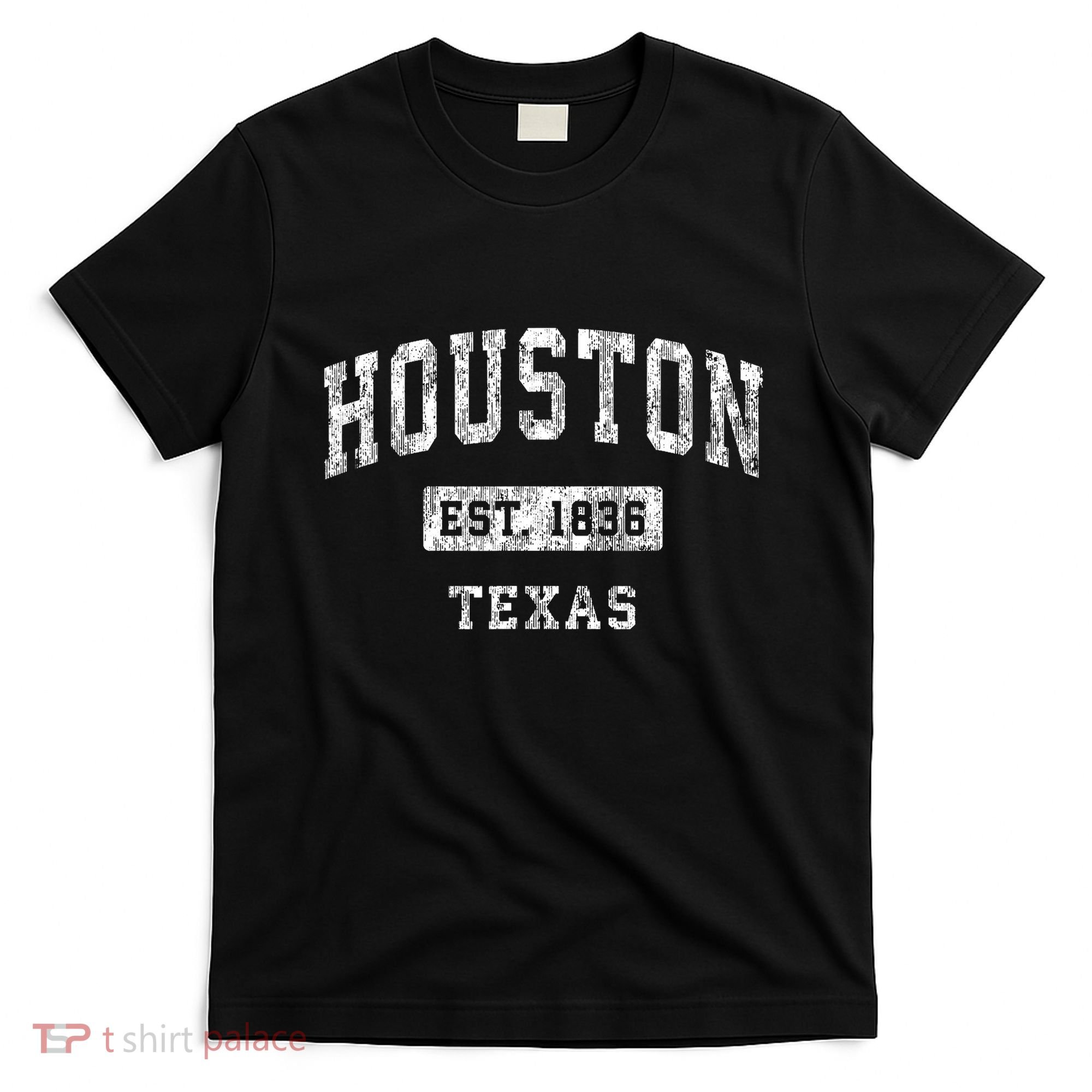Houston Texas Tx Vintage Established Sports T-Shirt