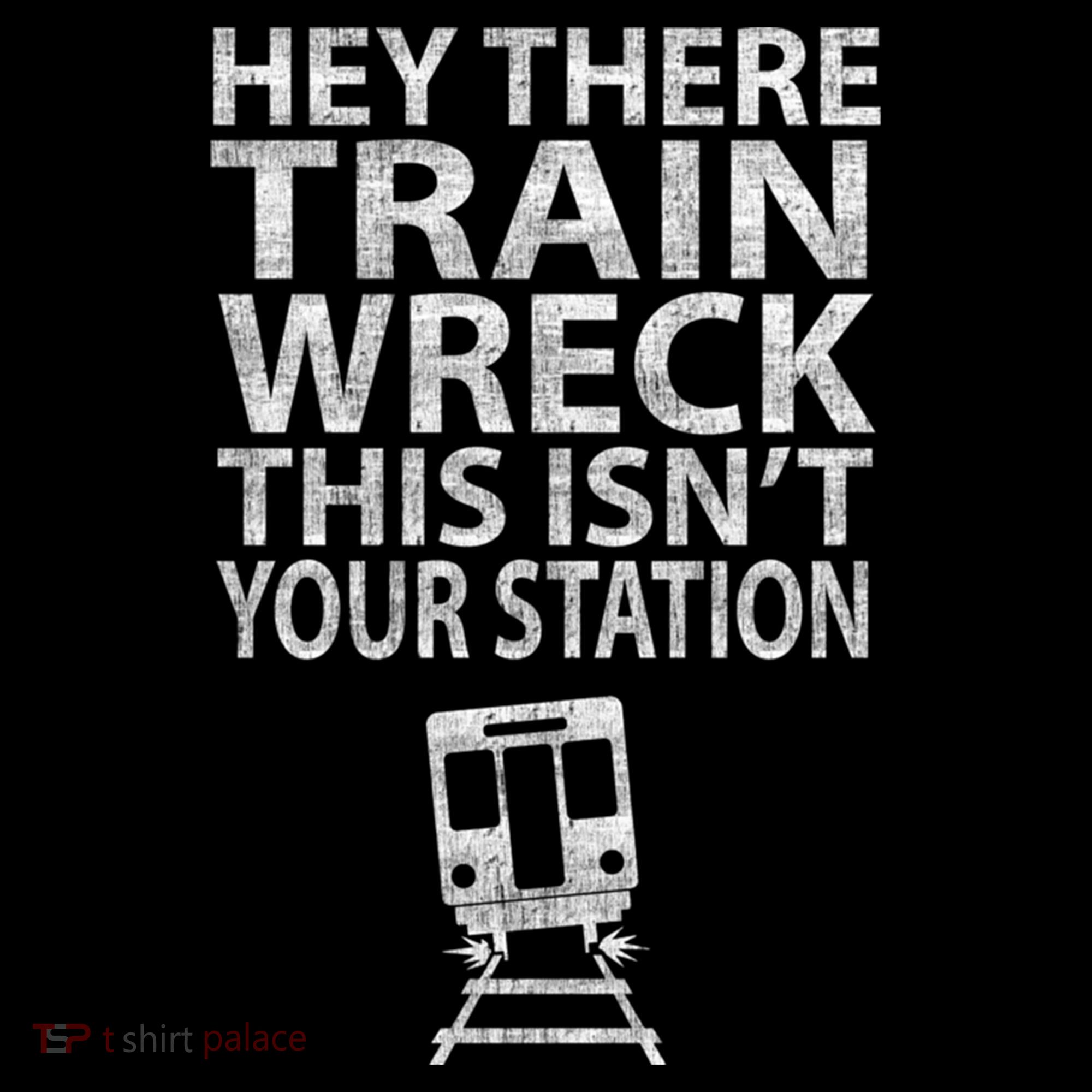 Hey There Train Wreck This Isnt Your Station Gift USA-Made Doggie Bandana