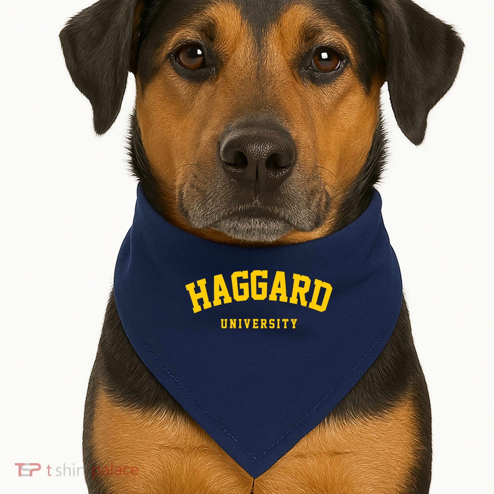 Haggard University USA-Made Doggie Bandana