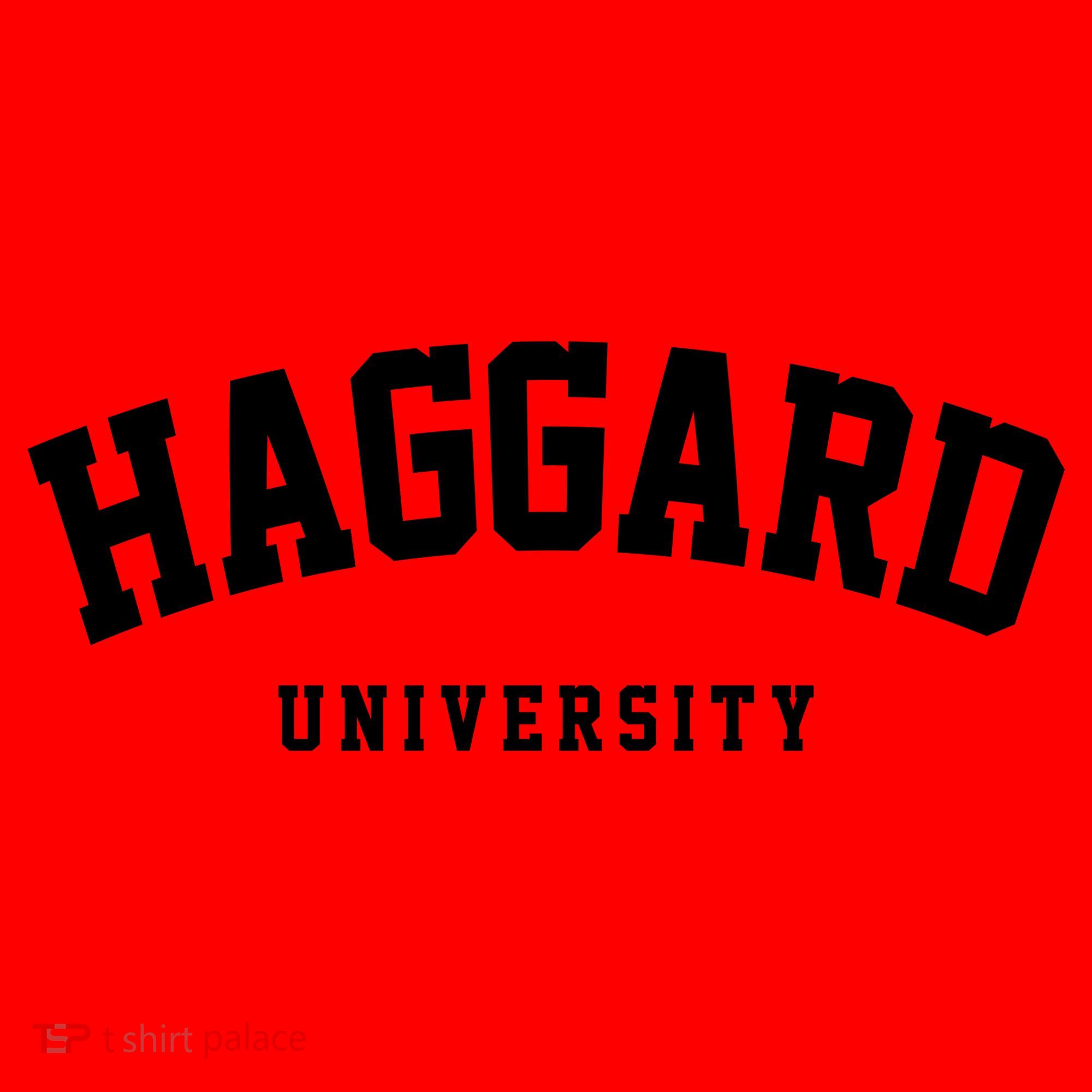 Haggard University Santa Hat