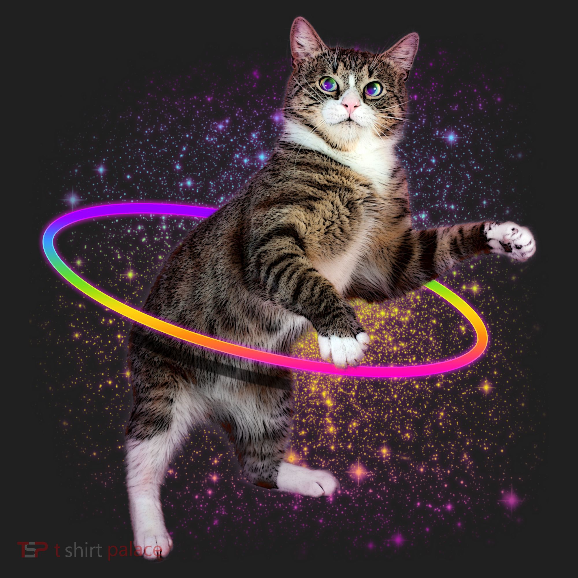 Hula Hoop Galaxy Cat Hat