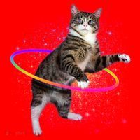 Hula Hoop Galaxy Cat Santa Hat thumb 1