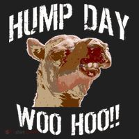Hump Day Woo Hoo Camel Face Women's Sweatshirt thumb 2