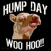 Hump Day Woo Hoo Camel Face Women's Tank Top thumb 5
