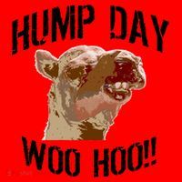 Hump Day Woo Hoo Camel Face Santa Hat thumb 1