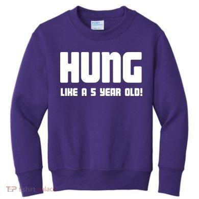 Hung Like A 5 Year Old Kids Sweatshirt