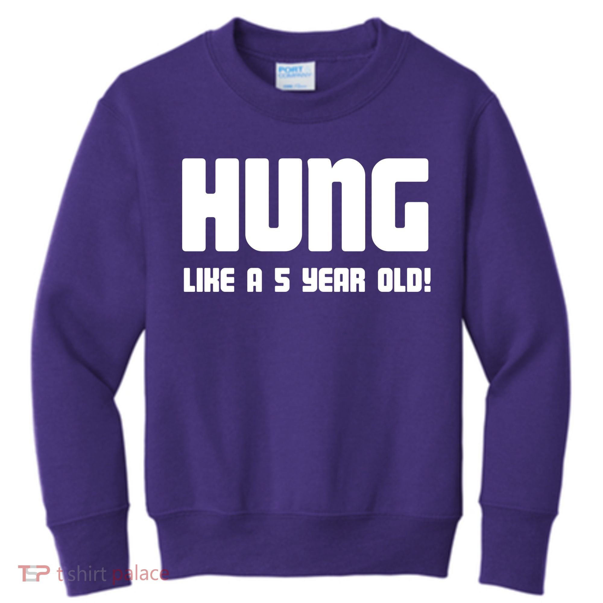 Hung Like A 5 Year Old Kids Sweatshirt