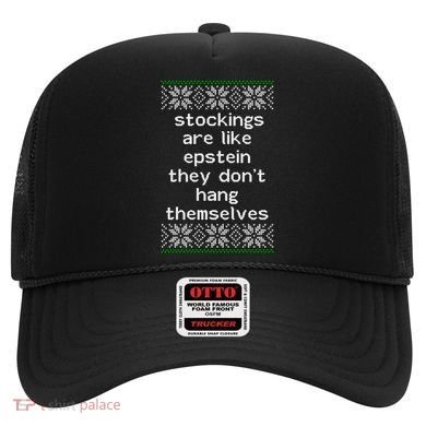 Hung Like Epstein Funny Ugly Christmas Hat