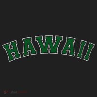 Hawaii USA Patriotic Birthday School University Gift Tumbler thumb 3
