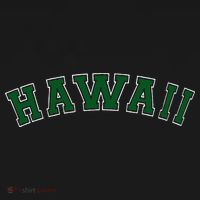 Hawaii USA Patriotic Birthday School University Gift Kids T-Shirt thumb 4