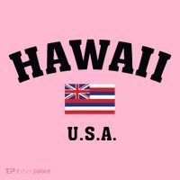 Hawaii Usa With American Flag Coaster thumb 2