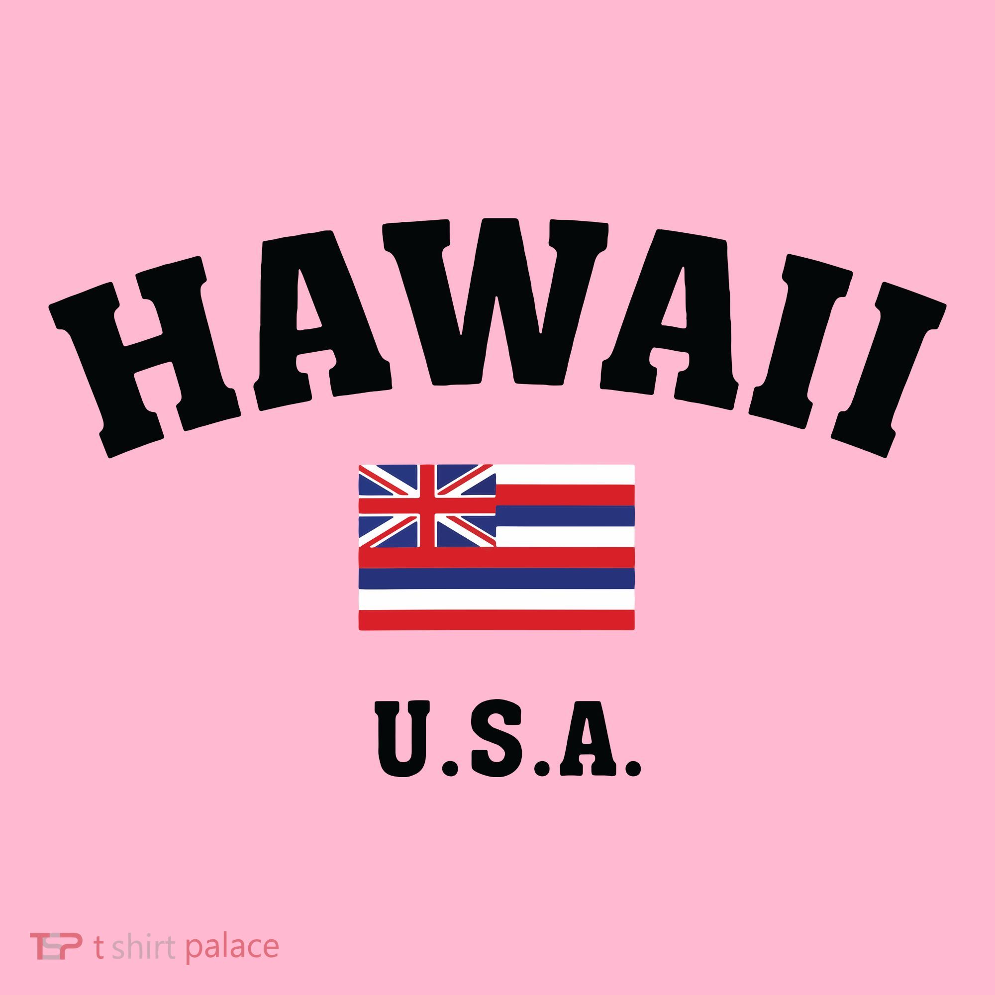 Hawaii Usa With American Flag Coaster