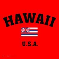Hawaii Usa With American Flag Santa Hat thumb 1