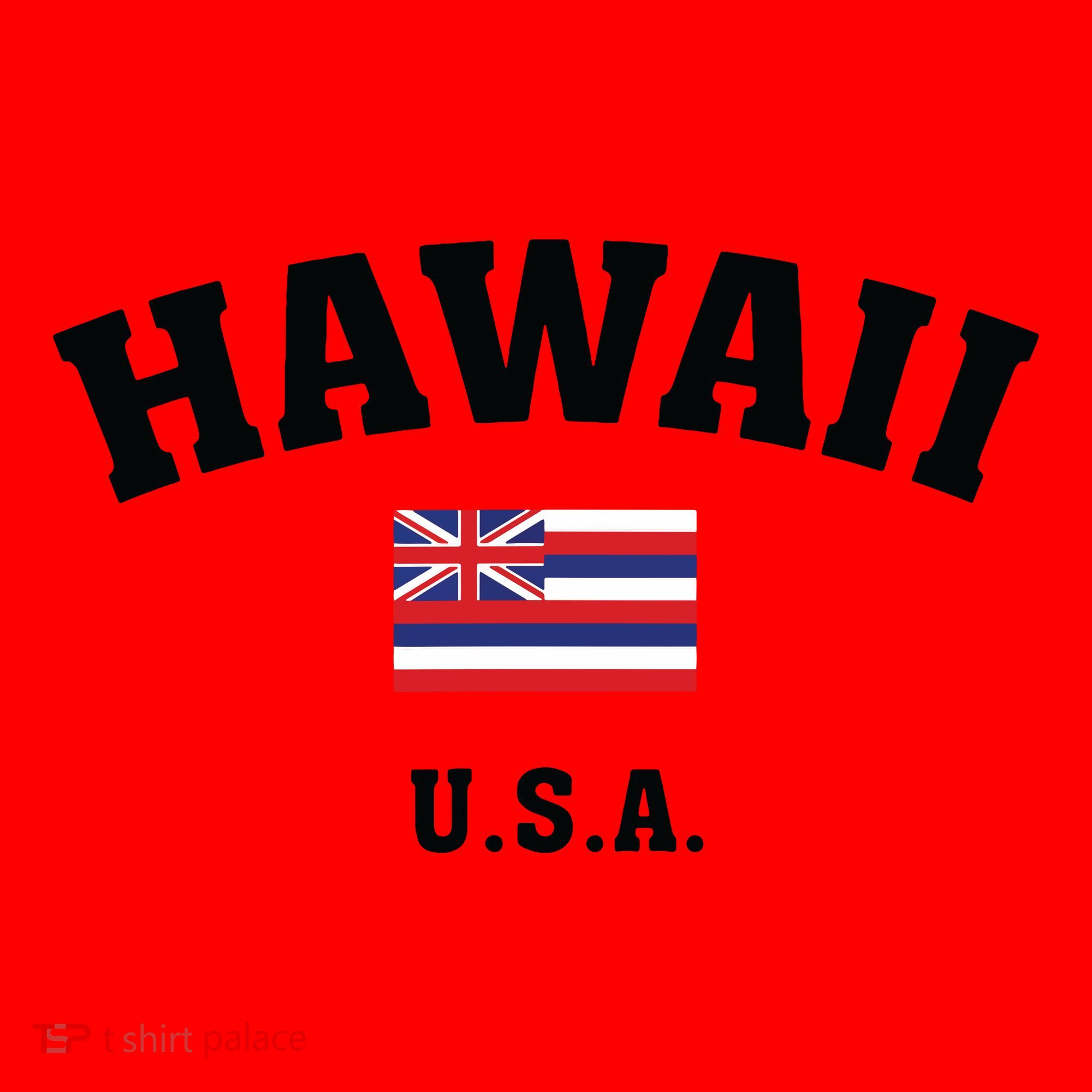 Hawaii Usa With American Flag Santa Hat