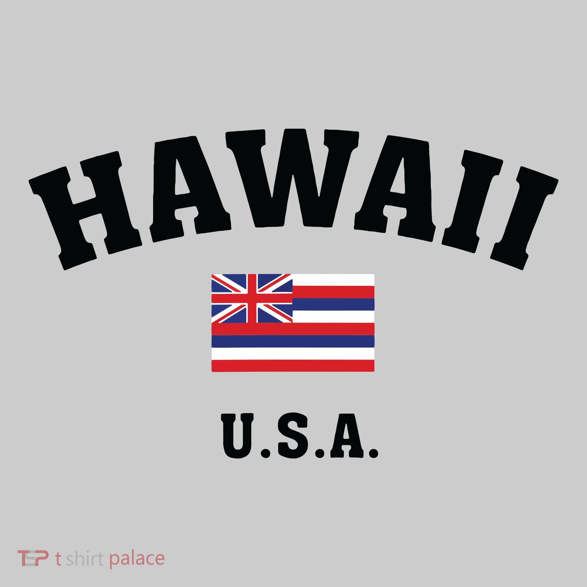 Hawaii Usa With American Flag T-Shirt