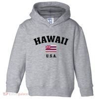 Hawaii Usa With American Flag Toddler Hoodie thumb 0