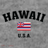 Hawaii Usa With American Flag Toddler Hoodie thumb 2