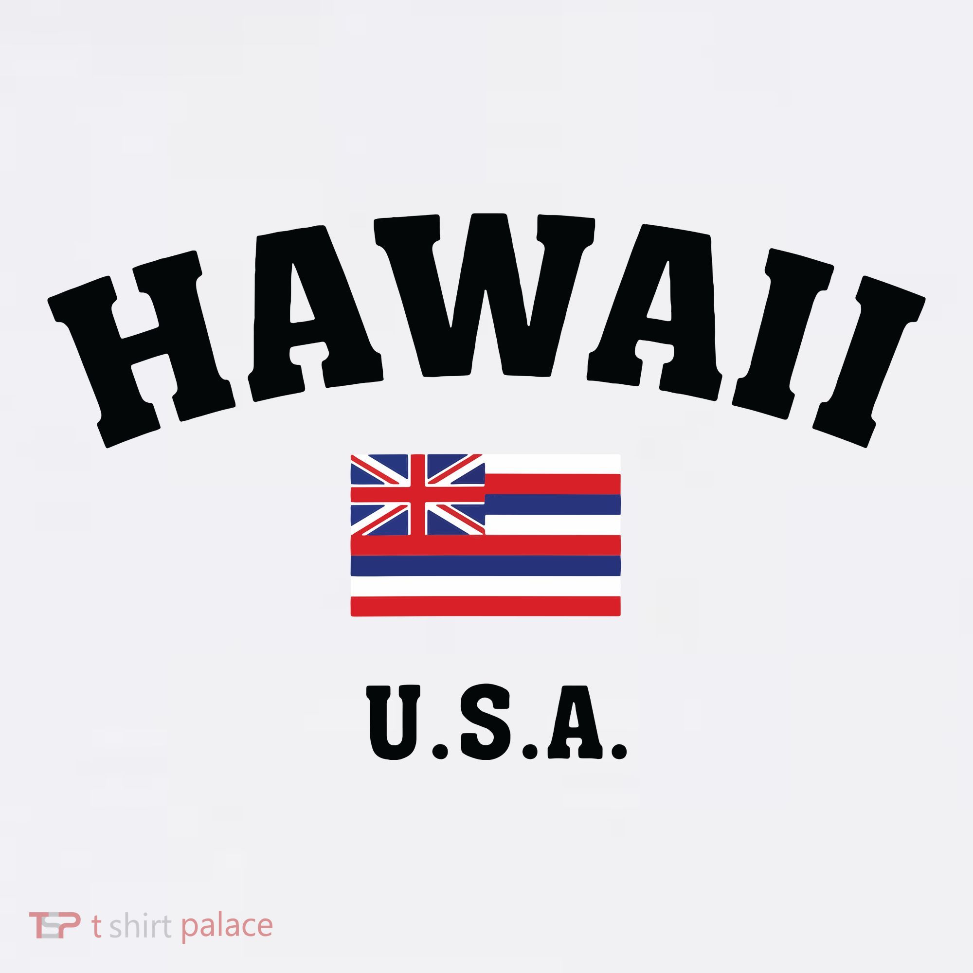Hawaii Usa With American Flag Women's Hoodie