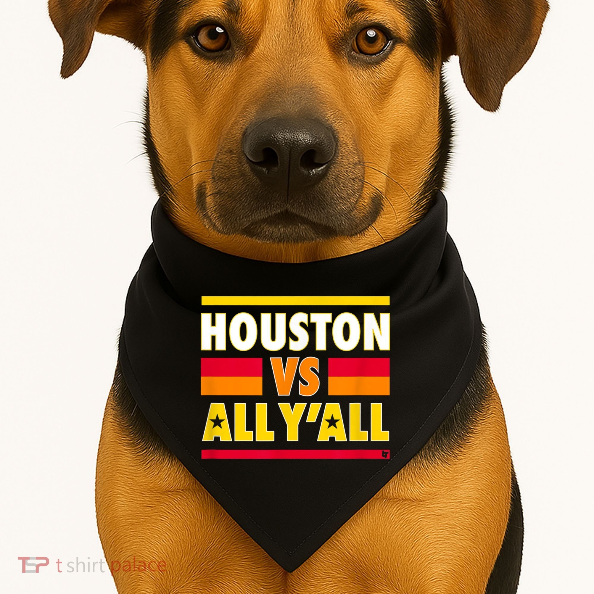 Houston Vs. All Y'all Houston Baseball USA-Made Doggie Bandana