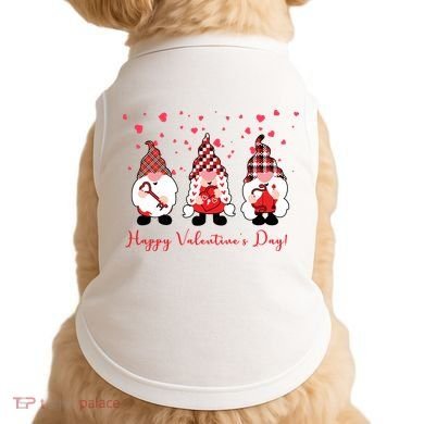 Happy Valentines Day Gnome Cute Gift Doggie Tank