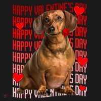 Happy Valentines Day Dachshund Dog & Red Hearts Gift For Boy Girl Women's Hoodie thumb 2