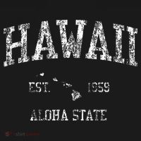 Hawaii Vintage Sports Hawaiian Islands Hi T-Shirt thumb 7