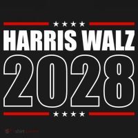 Harris Waltz 2028 Kamala Harris 2028 Tim Waltz For President Cool Gift Women's Hoodie thumb 2