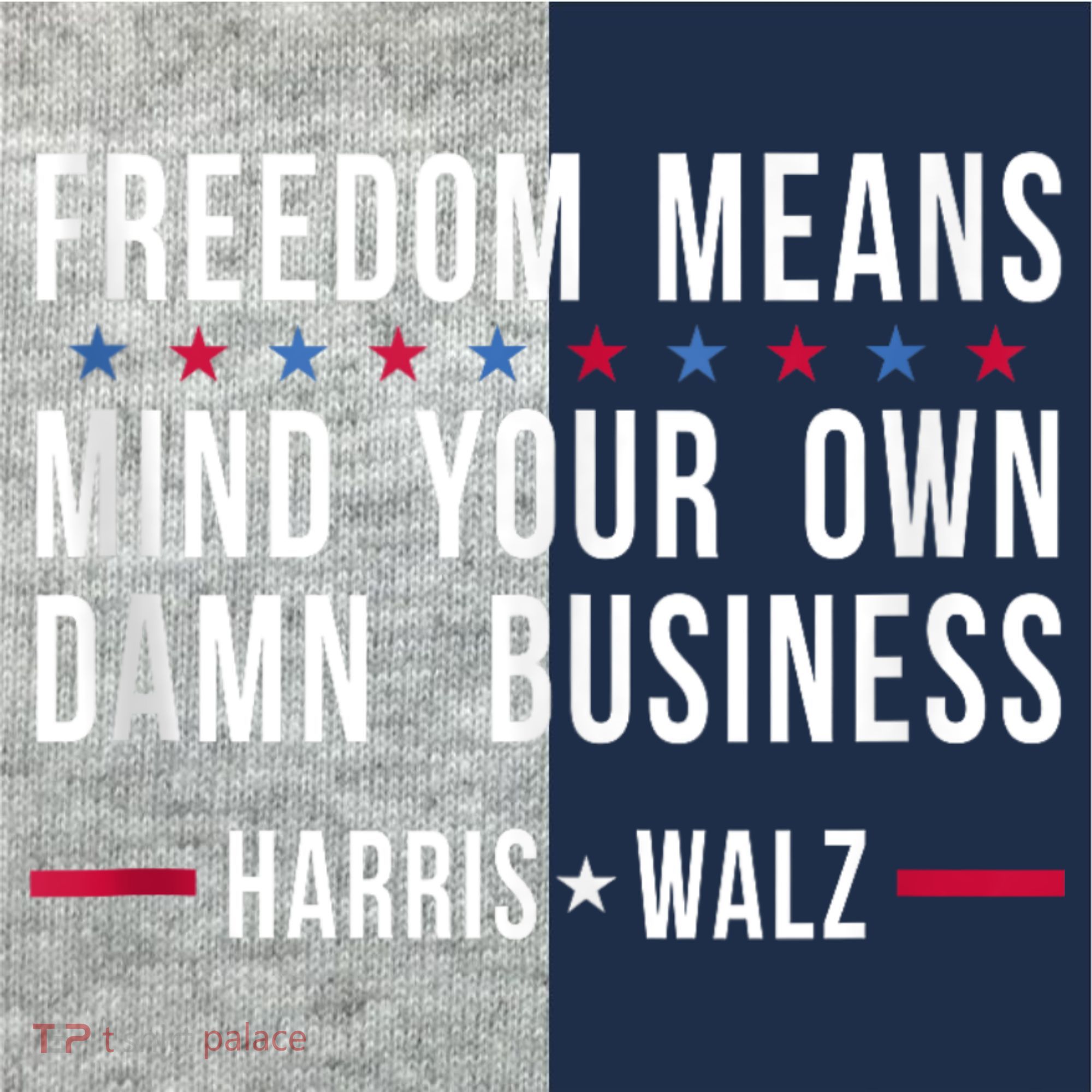 Harris Walz 2024 Mind Your Own Damn Business Kids Colorblock Raglan Jersey
