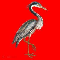 Heron Water Bird Lover Blue Heron Coastal Birds Santa Hat thumb 1